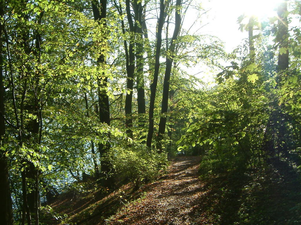 קורין Haus Am See מראה חיצוני תמונה